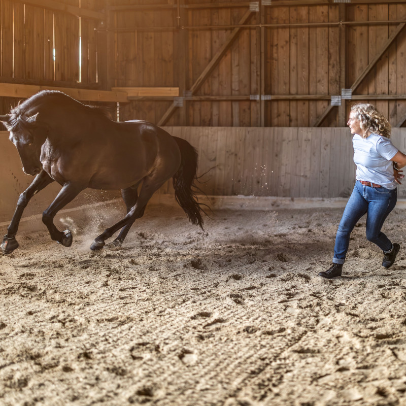 Resonanzbasierte Führung