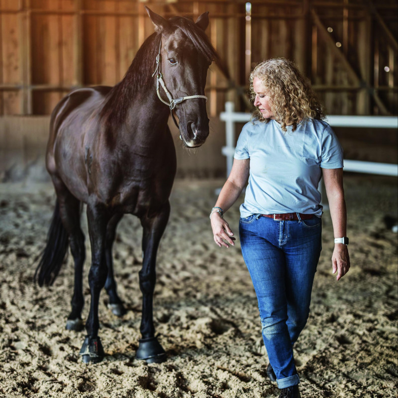 Coaching with horses - leadership development and personal development