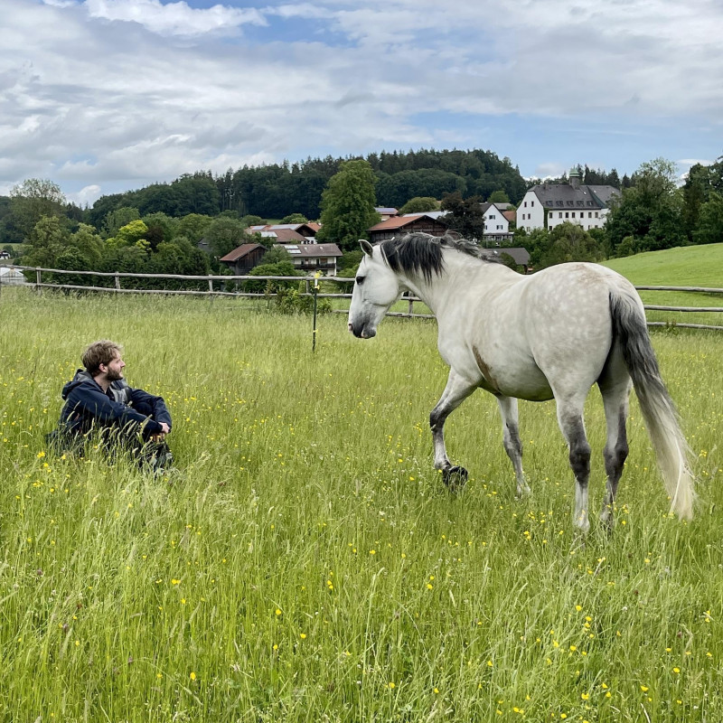 Workshop "Rendezvous with Yourself" – Self-Discovery with Horses