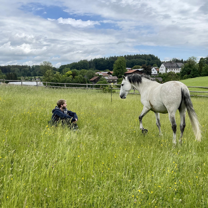 Our Offers – Workshops and Coaching with Horses